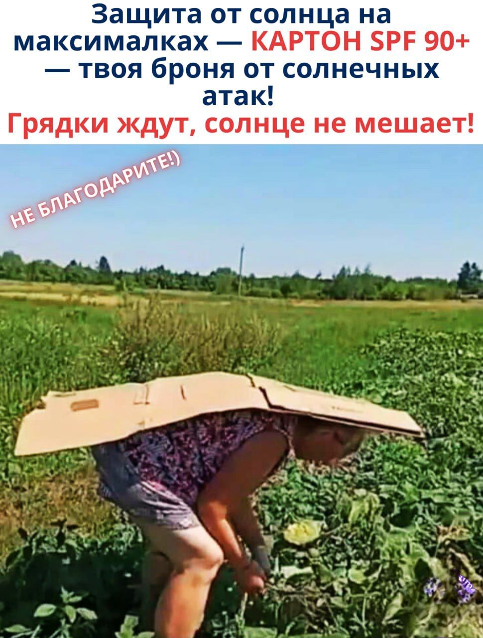 Защита от солнца на максималках — КАРТОН SPF 90+ — твоя броня от солнечных атак!
Грядки ждут, солнце не мешает!
НЕ БЛАГОДАРИТЕ!)