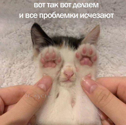 вот так вот делаем и все проблемки исчезают