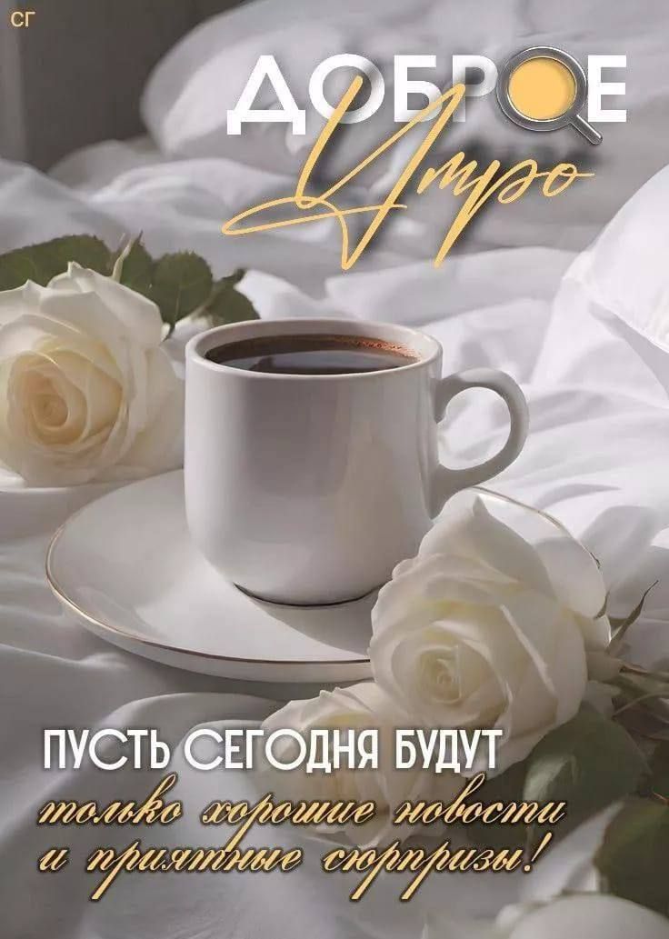 Доброе утро
Пусть сегодня будут только хорошие новости и приятные сюрпризы!