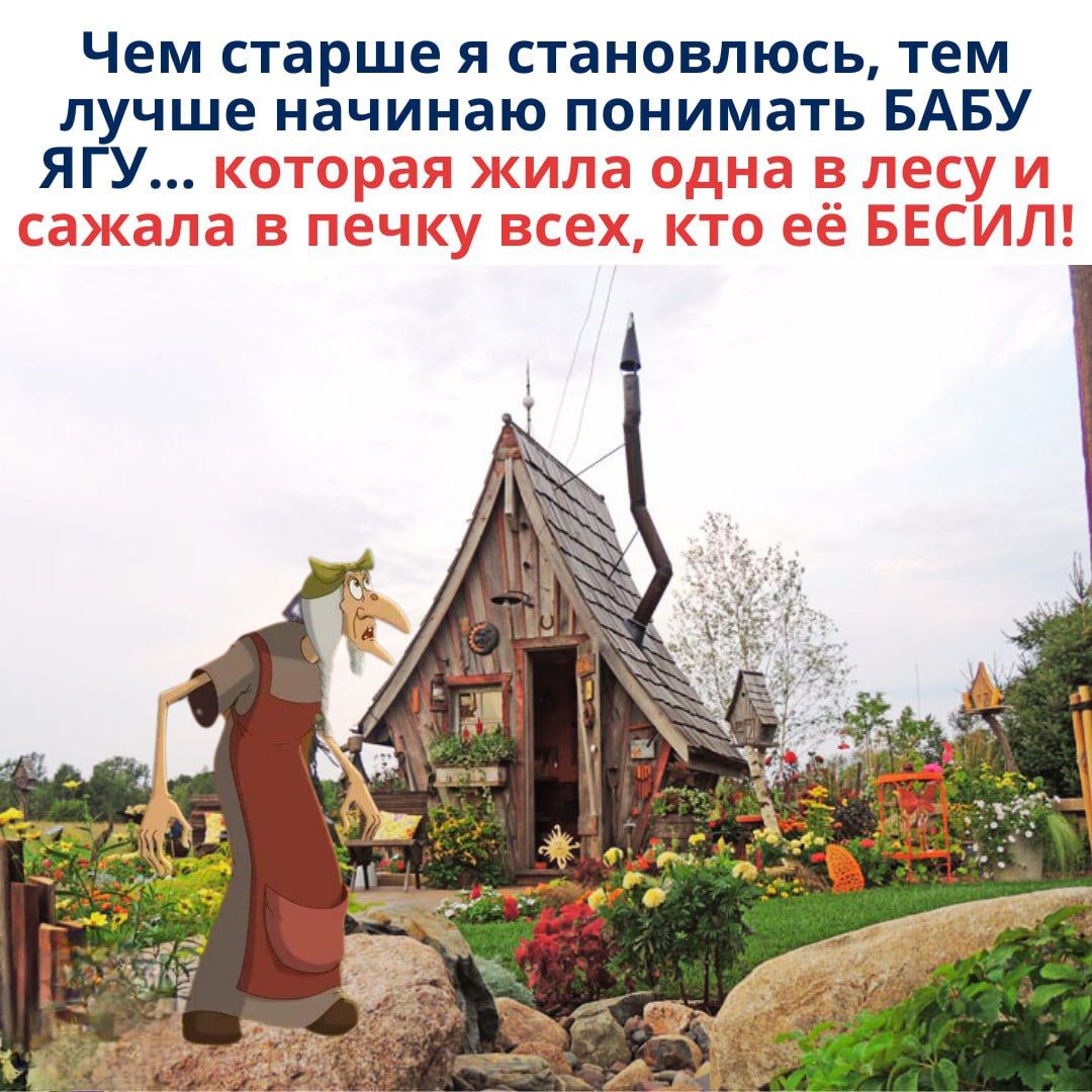 Чем старше я становлюсь, тем лучше начинаю понимать БАБУ ЯГУ... которая жила одна в лесу и сажала в печку всех, кто её БЕСИЛ!