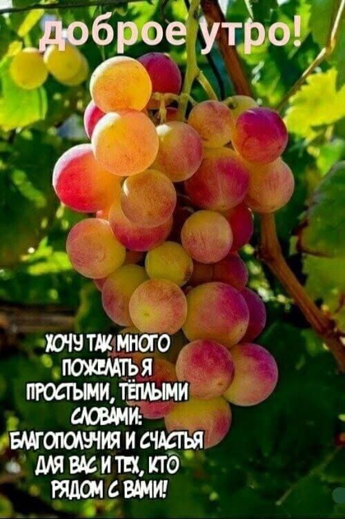 Доброе утро! Хочу так много пожелать я простыми, теплыми словами: благополучия и счастья для вас и тех, кто рядом с вами!