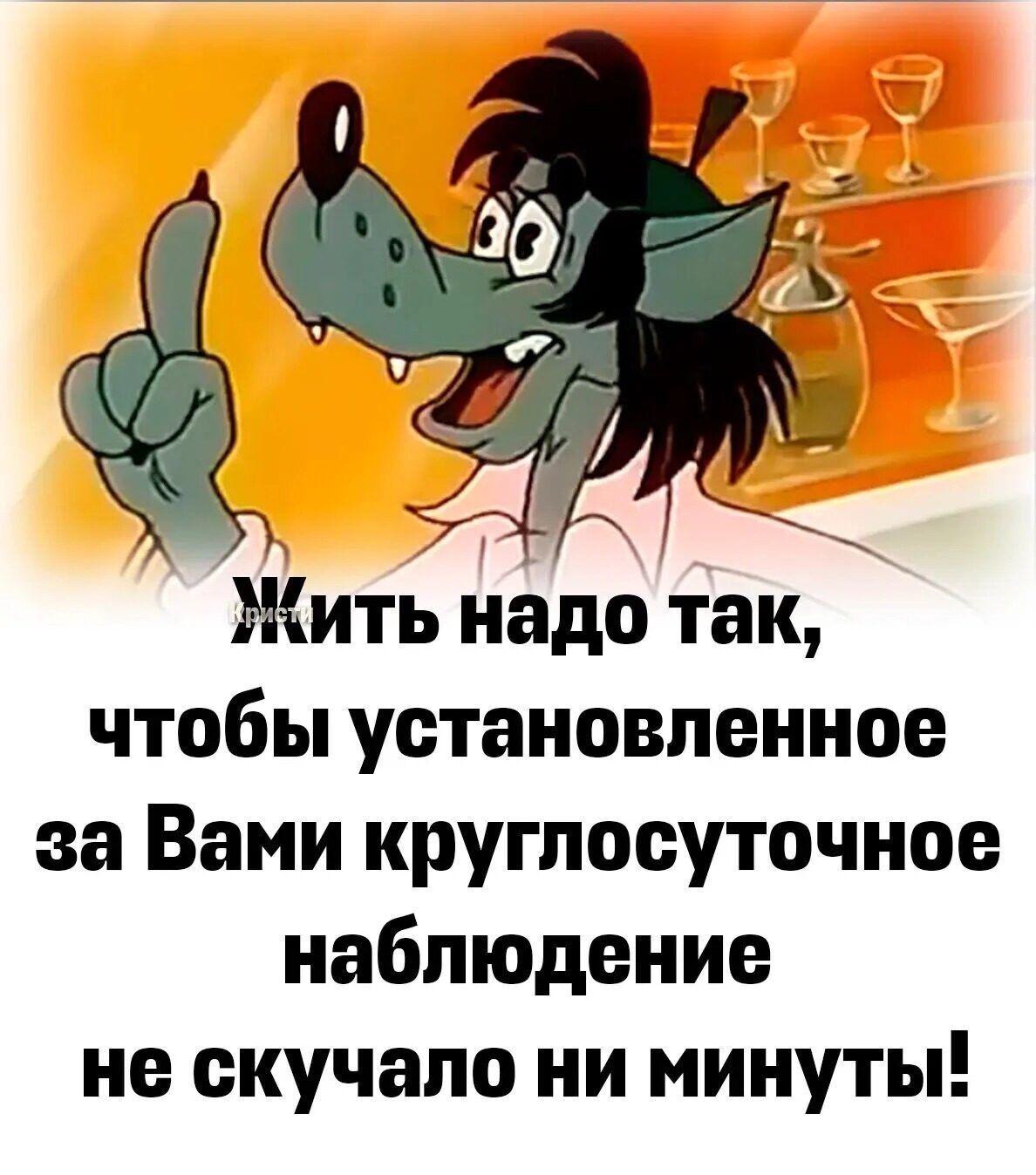 Жить надо так, чтобы установленное за Вами круглосуточное наблюдение не скучало ни минуты!