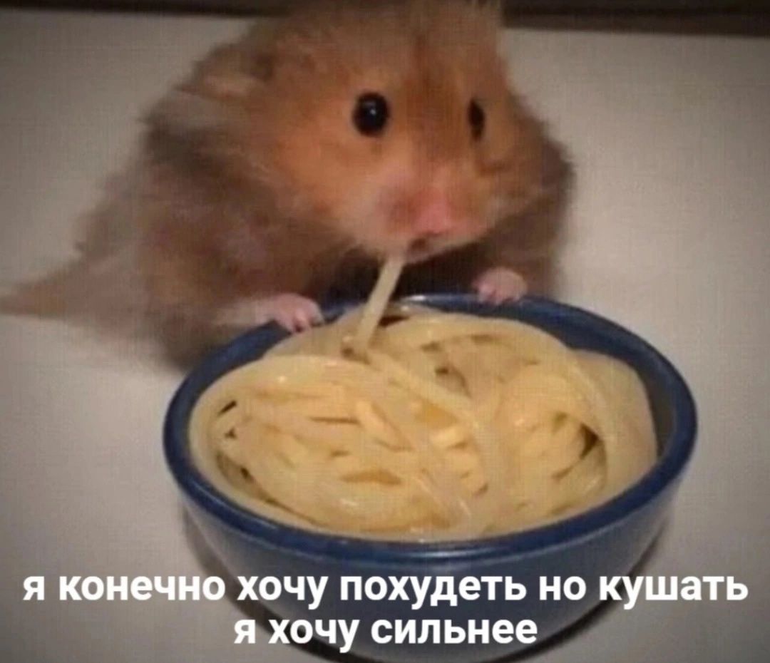я конечно хочу похудеть но кушать я хочу сильнее