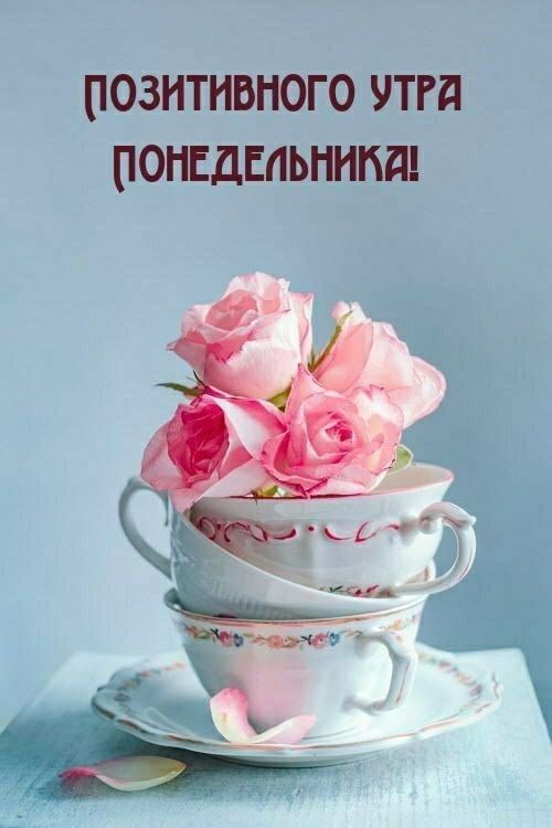 ПОЗИТИВНОГО УТРА ПОНЕДЕЛЬНИКА!