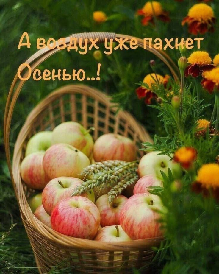 А воздух уже пахнет Осенью..!