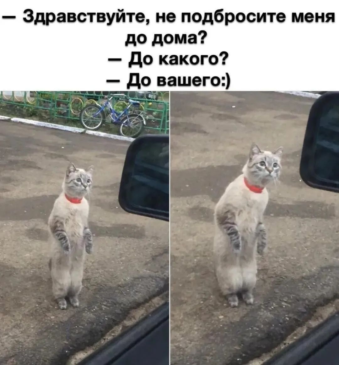 — Здравствуйте, не подбросите меня до дома? — До какого? — До вашего:)