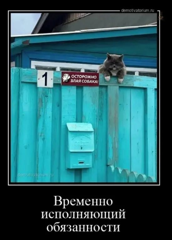Временно исполняющий обязанности