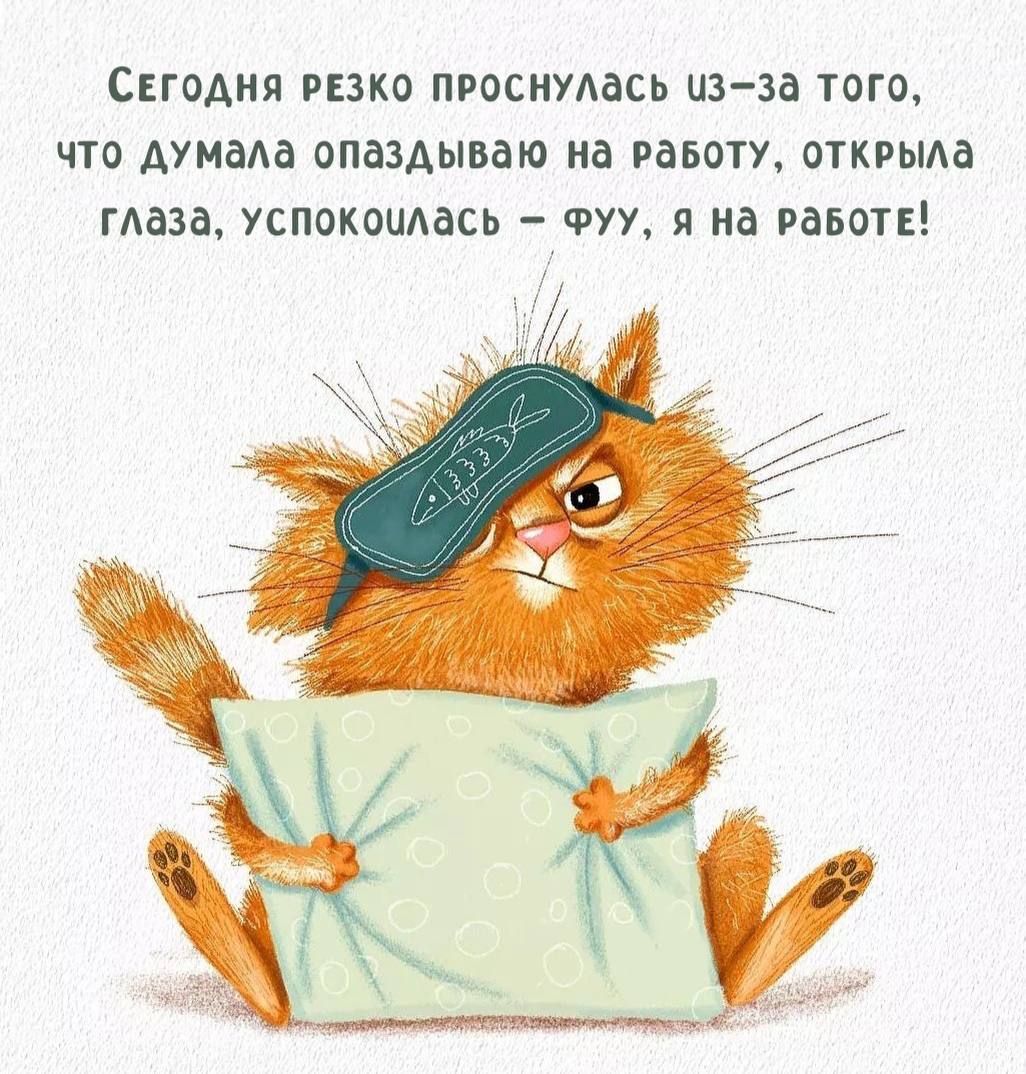 Сегодня резко проснулась из-за того, что думала опаздываю на работу, открыла глаза, успокоилась – ФУФ, я на работе!