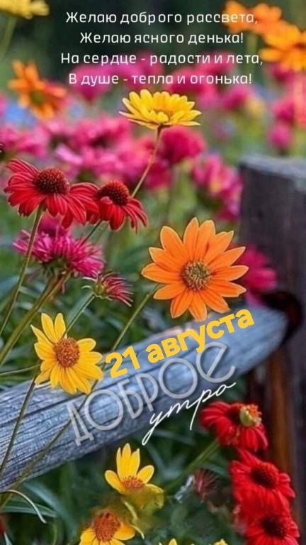 Желаю доброго рассвета, Желаю ясного денька! На сердце - радости и лето, В душе - тепла и огонька! 21 августа