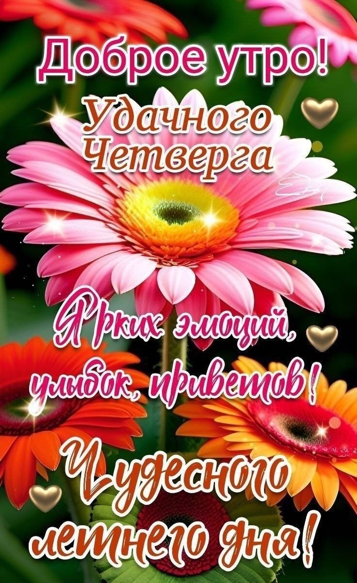 Доброе утро! Удачного Четверга Ярких эмоций, улыбок, приветствов! Чудесного летнего дня!
