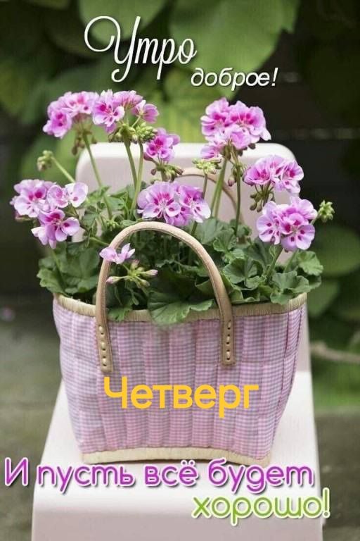 Утро доброе! Четверг И пусть всё будет хорошо!