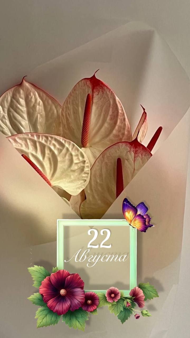 22 Августа