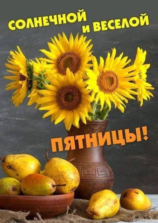 Солнечной и веселой Пятницы!