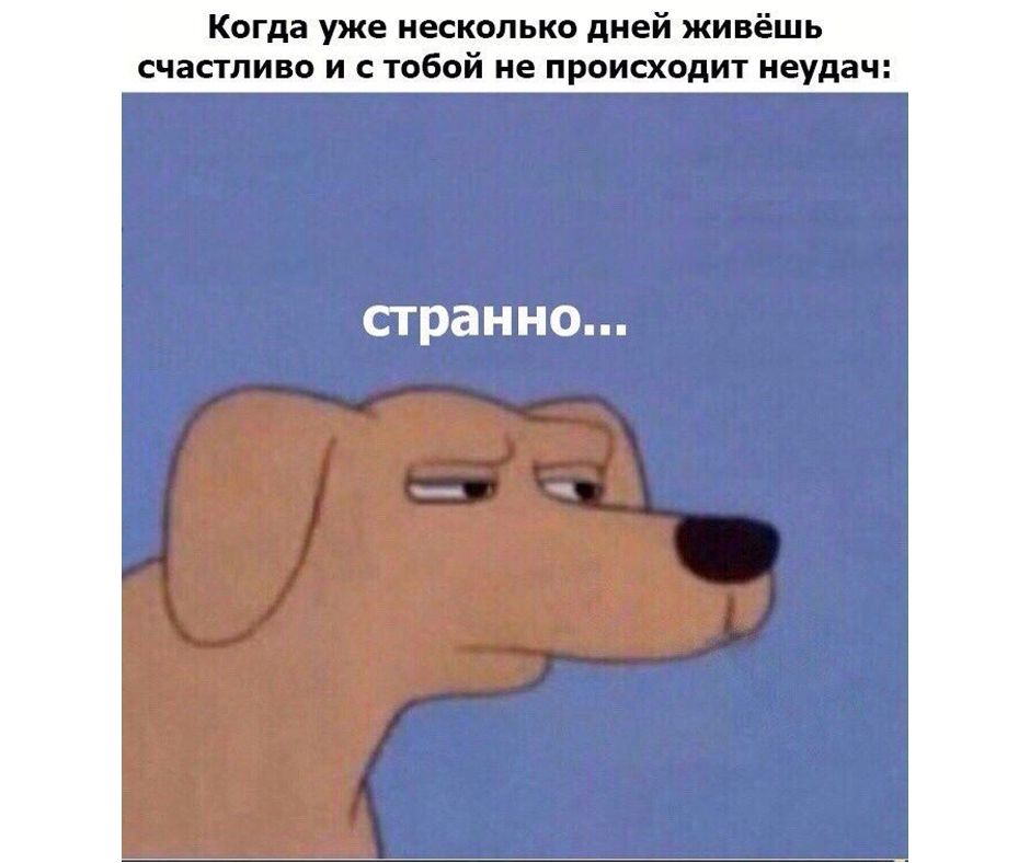 Когда уже несколько дней живёшь счастливо и с тобой не происходит неудач:

странно...