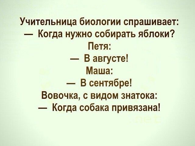 Учительница биологии спрашивает: — Когда нужно собирать яблоки? Пета: — В августе! Маша: — В сентябре! Вовочка, с видом знатока: — Когда собака привязана!