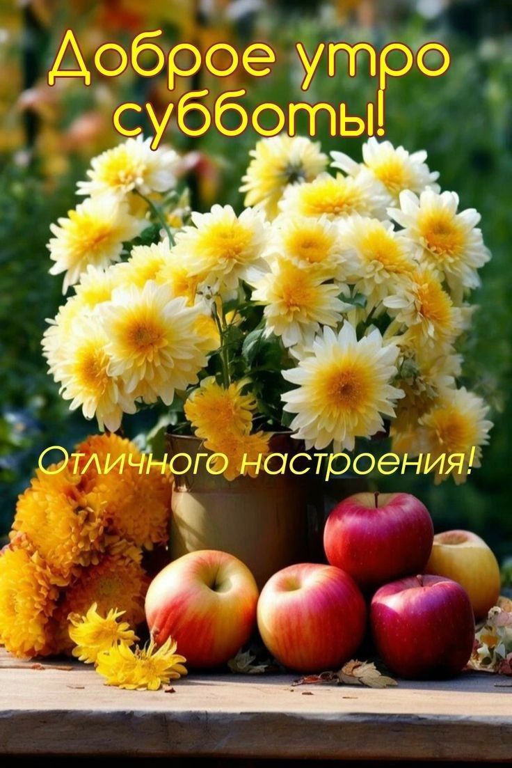 Доброе утро субботы! Отличного настроения!