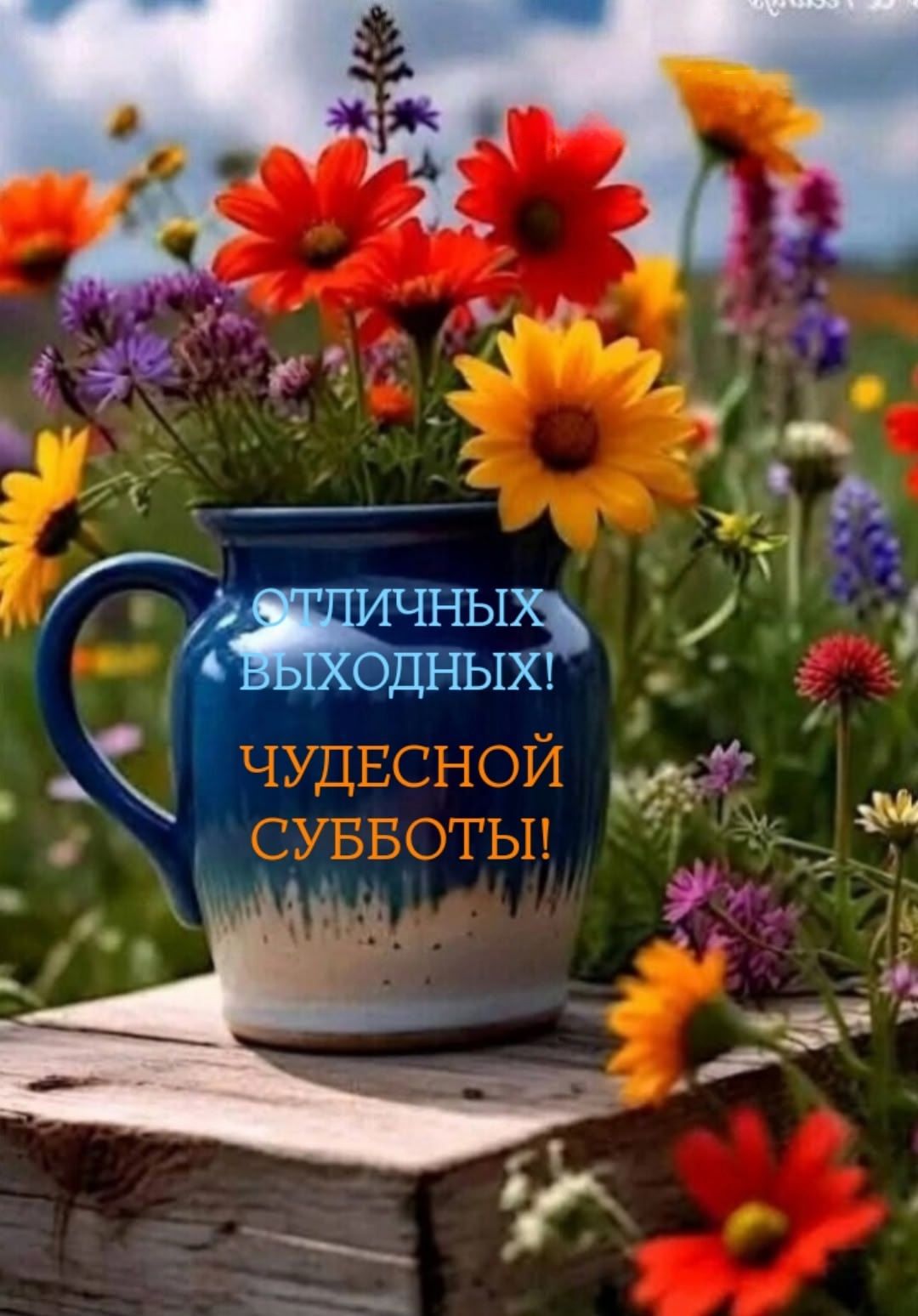 ОТЛИЧНЫХ ВЫХОДНЫХ! ЧУДЕСНОЙ СУББОТЫ!