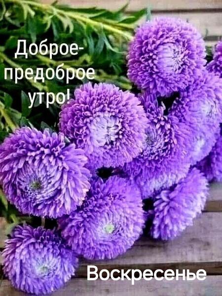 Доброе-предоброе утро!
Воскресенье