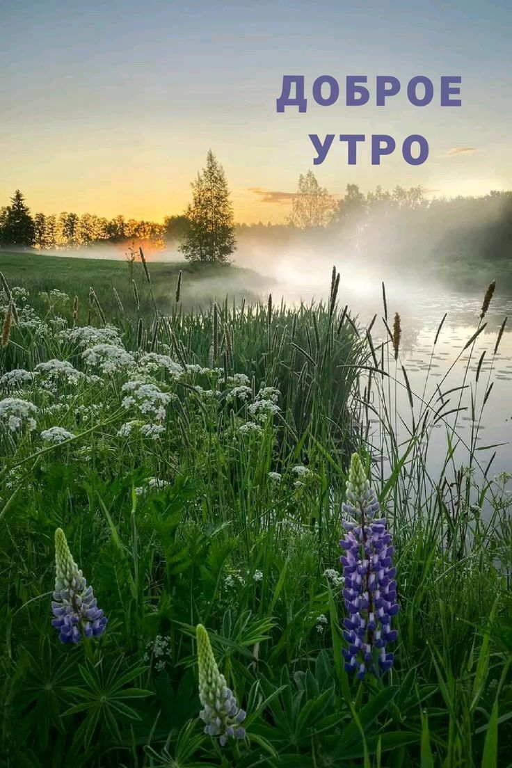 ДОБРОЕ УТРО