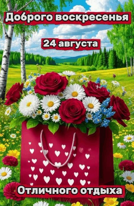 Доброе воскресенье
24 августа
Отличного отдыха