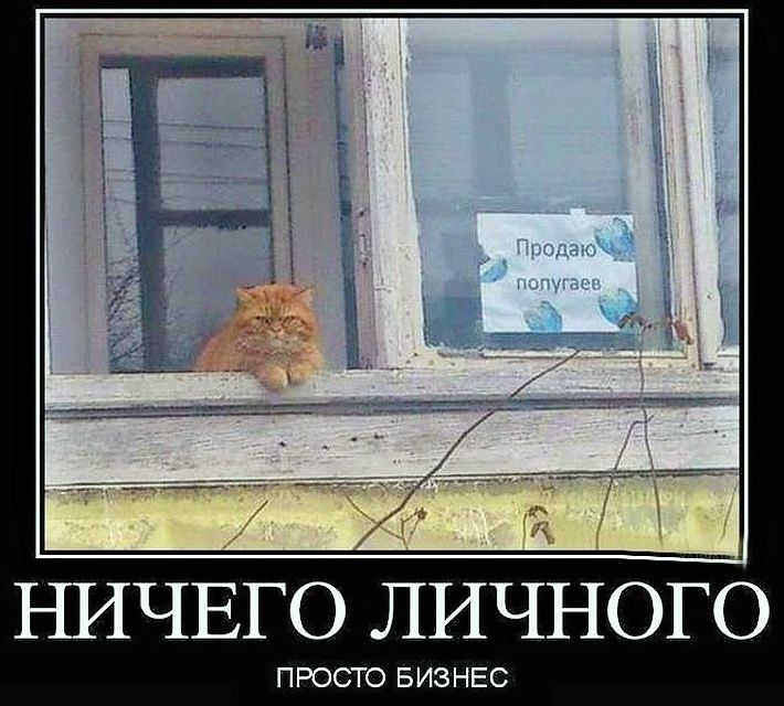 НИЧЕГО ЛИЧНОГО ПРОСТО БИЗНЕС