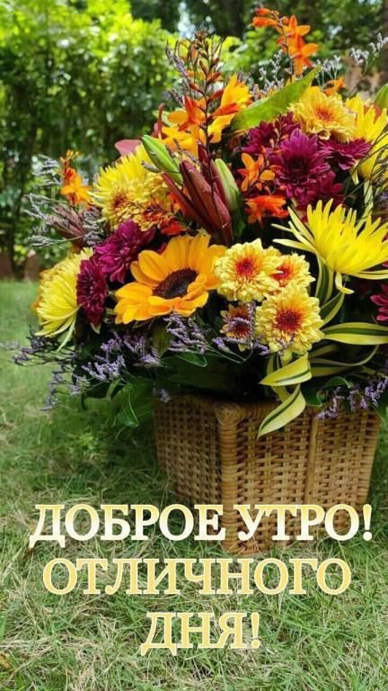 ДОБРОЕ УТРО! ОТЛИЧНОГО ДНЯ!