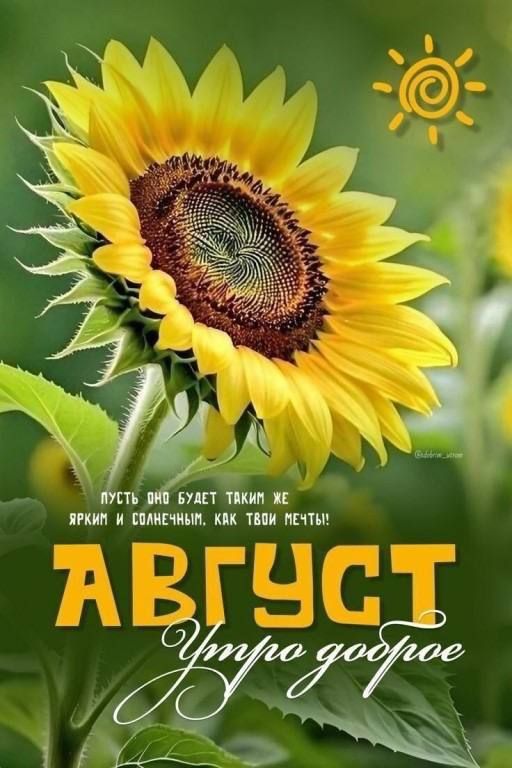 АВГУСТ
Утро доброе
Пусть оно будет таким же ярким и солнечным, как твои мечты!!