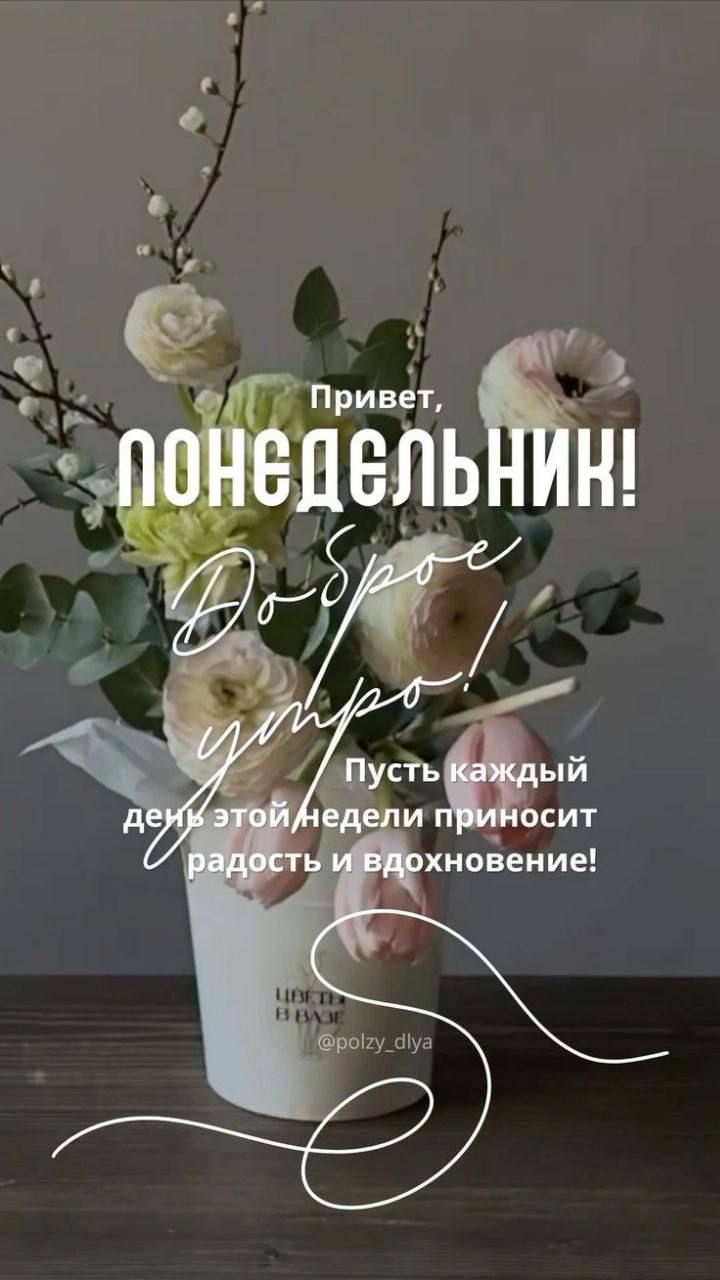 Привет, понедельник! Доброе утро! Пусть каждый день этой недели приносит радость и вдохновение!