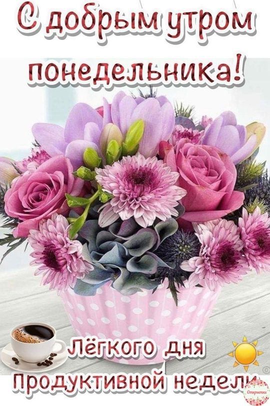С добрым утром понедельника! Легкого дня продуктивной недели!