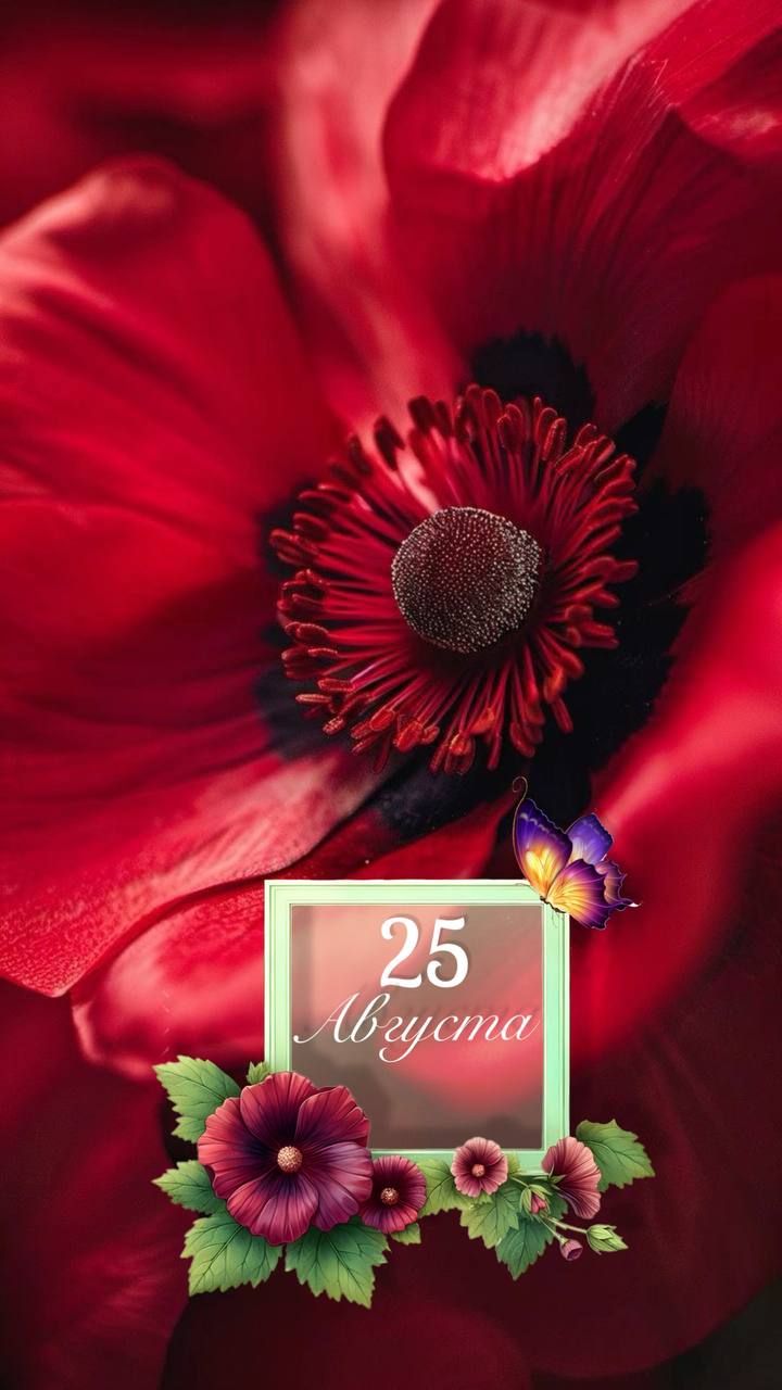 25 Августа