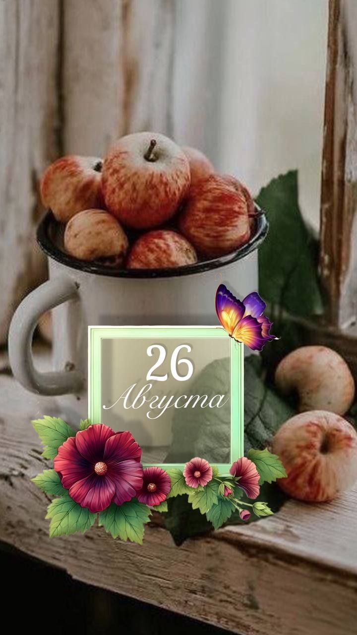 26 Августа
