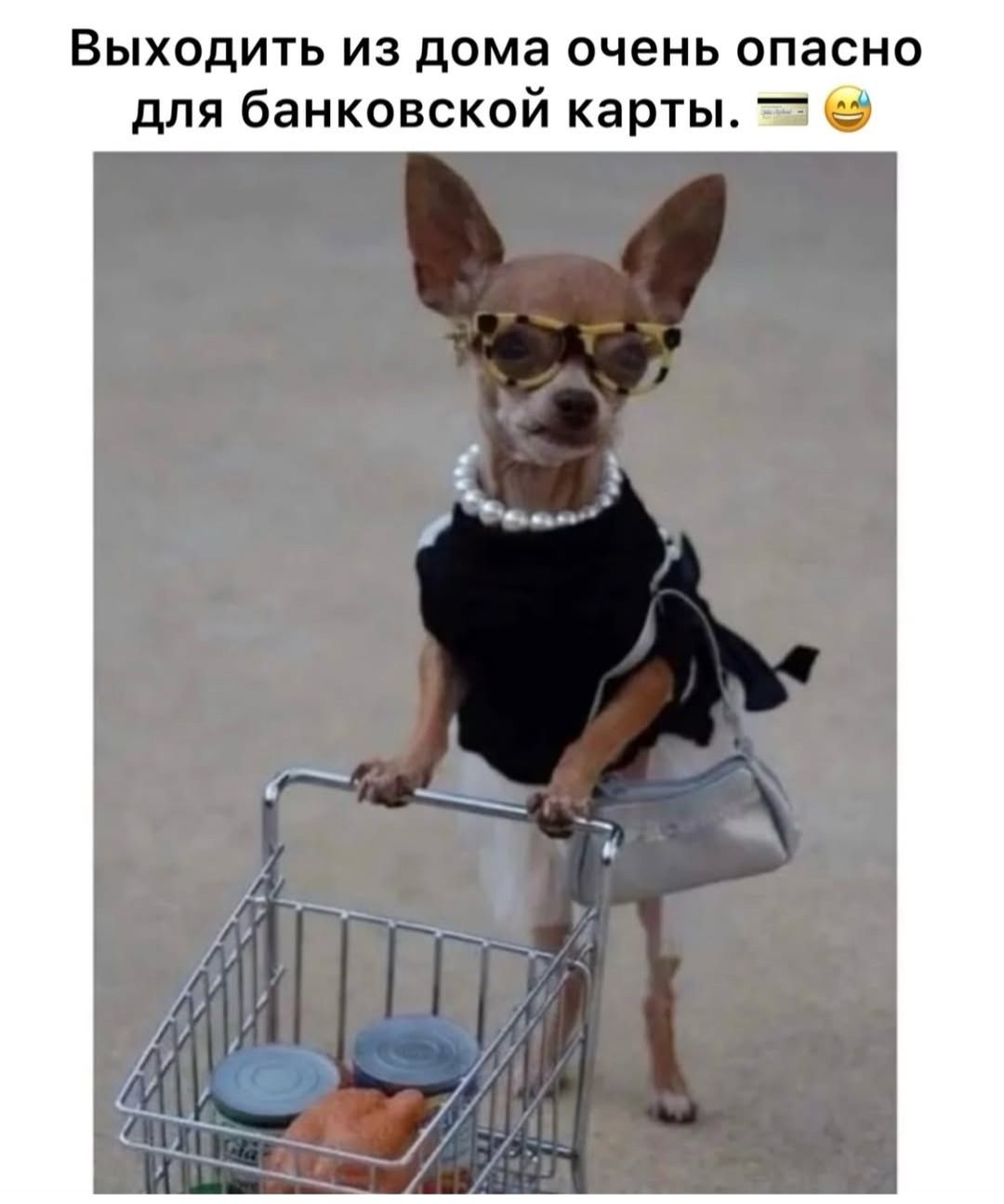 Выходить из дома очень опасно для банковской карты. 🛒😄