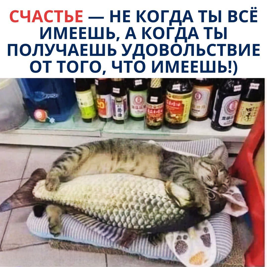 СЧАСТЬЕ — НЕ КОГДА ТЫ ВСЁ ИМЕЕШЬ, А КОГДА ТЫ ПОЛУЧАЕШЬ УДОВОЛЬСТВИЕ ОТ ТОГО, ЧТО ИМЕЕШЬ!)