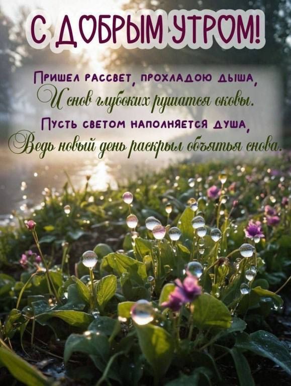 С ДОБРЫМ УТРОМ! Пришел рассвет, прохладою дыша, И вновь глубоких рушится оковы. Пусть светом наполняется душа, Ведь новый день раскрыл объятья снова.