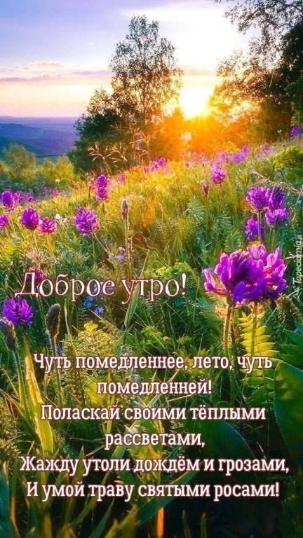 Доброе утро!
Чуть помедленнее, лето, чуть помедленней!
Поласкай своими тёплыми рассветами,
Жажду утоли дождём и грозами,
И умой траву святыми росами!