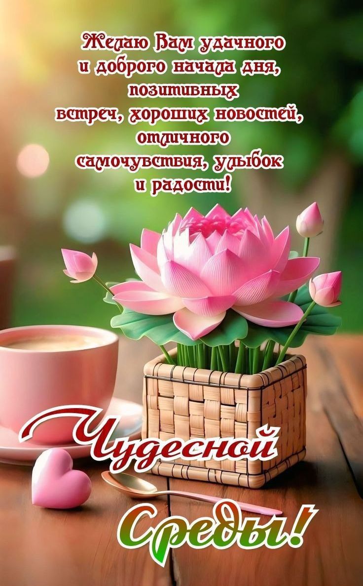 Желаю Вам удачного и доброго начала дня, позитивных встреч, хороших новостей, отличного самочувствия, улыбок и радости! Чудесной Среды!