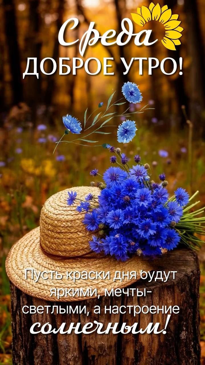 Среда ДОБРОЕ УТРО! Пусть краски дня будут яркими, мечты – светлыми, а настроение солнечным!