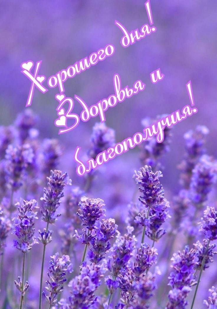 Хорошего дня! Здоровья и благополучия!