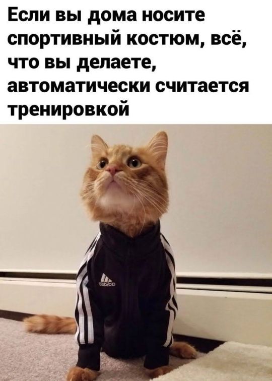 Если вы дома носите спортивный костюм, всё, что вы делаете, автоматически считается тренировкой