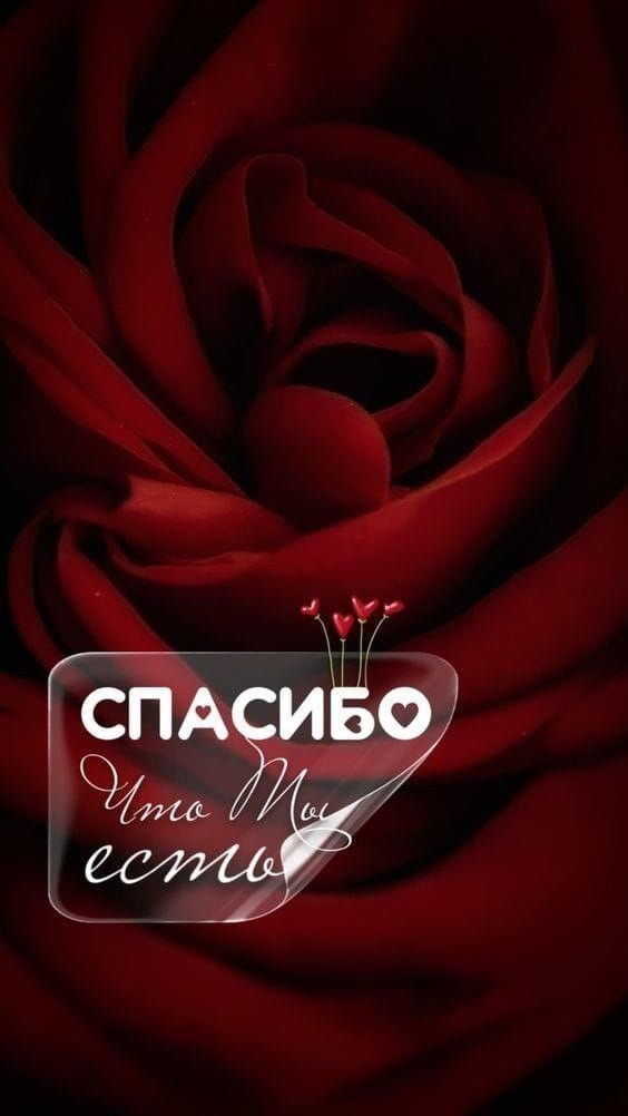 СПАСИБО
Что Ты есть