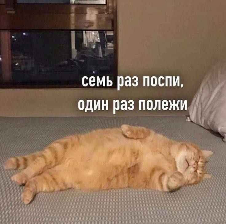 семь раз поспи, один раз полежи