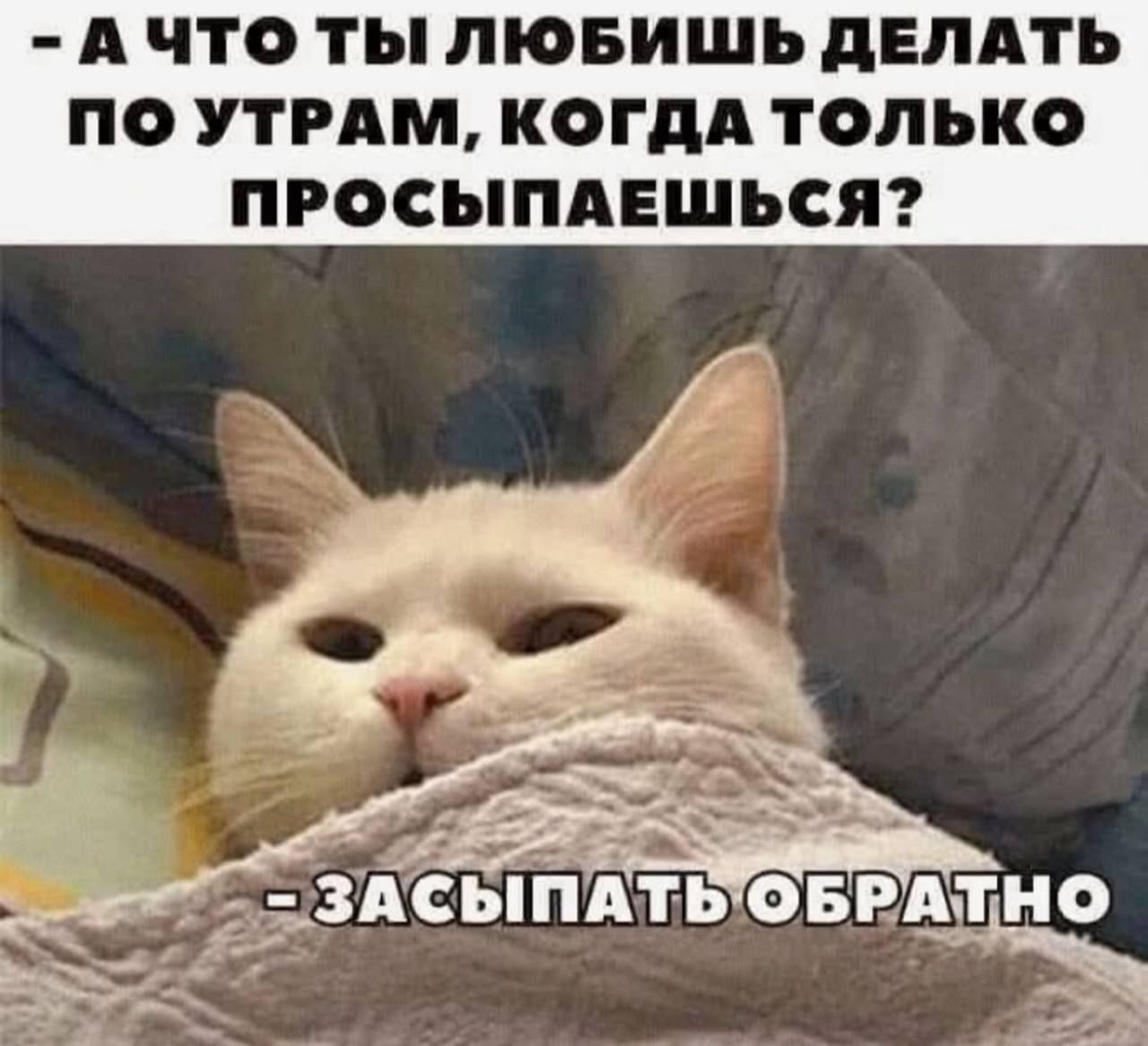 - А ЧТО ТЫ ЛЮБИШЬ ДЕЛАТЬ ПО УТРАМ, КОГДА ТОЛЬКО ПРОСЫПАЕШЬСЯ?  
- ЗАСЫПАТЬ ОБРАТНО