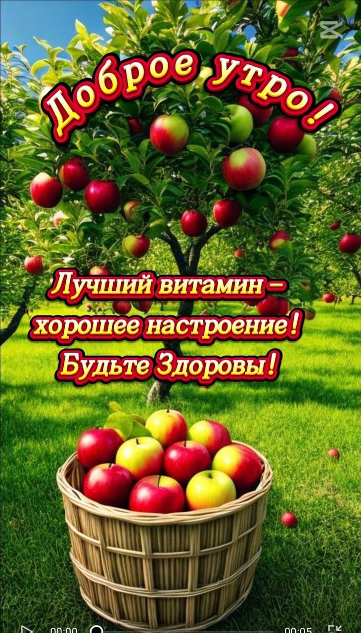 Доброе утро!
Лучший витамин – хорошее настроение!
Будьте Здоровы!
