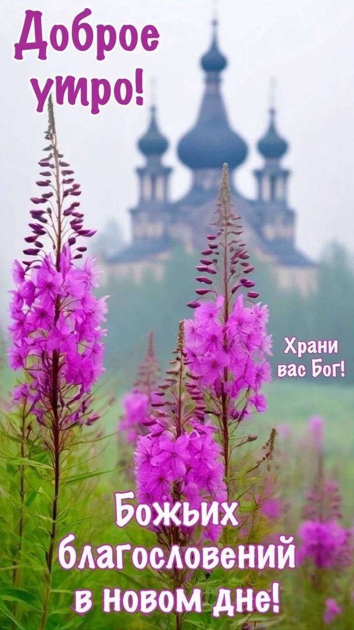 Доброе утро! Храни вас Бог! Божьих благословений в новом дне!