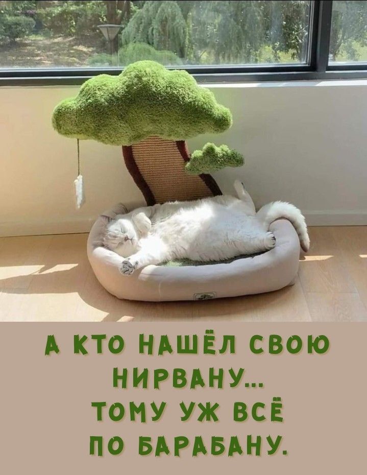 А КТО НАШЁЛ СВОЮ НИРВАНУ... ТОМУ УЖЕ ВСЁ ПО БАРАБАНУ.