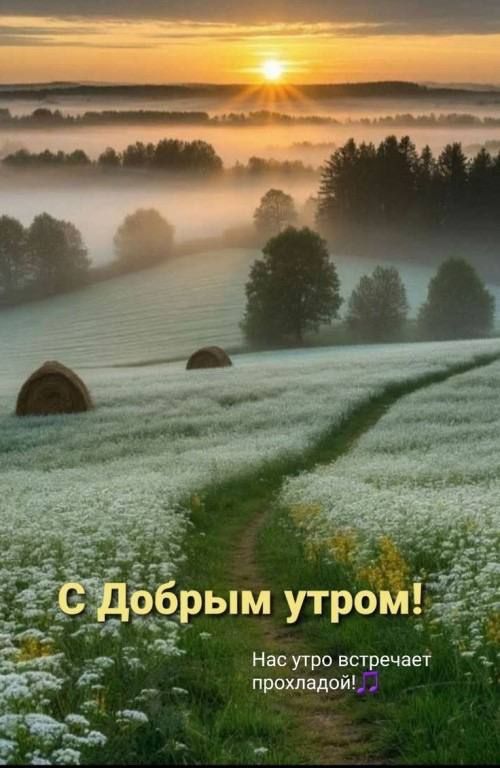С Добрым утром!
Нас утро встречает прохладой!