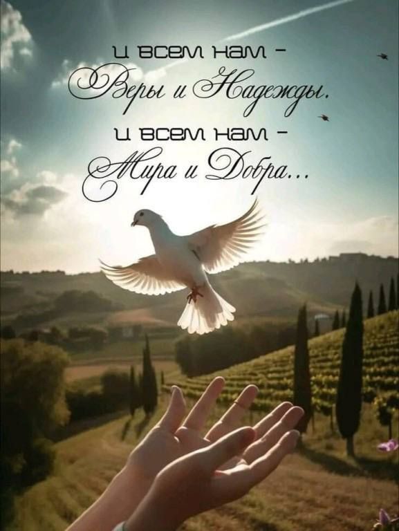 И всем нам - Веры и Надежды. И всем нам - Мира и Добра...