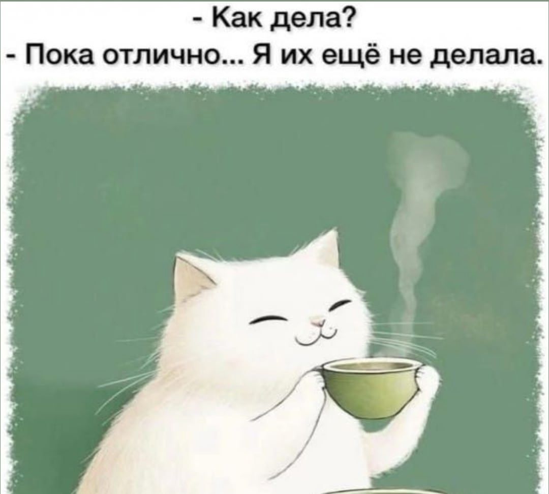 - Как дела?
- Пока отлично... Я их ещё не делала.