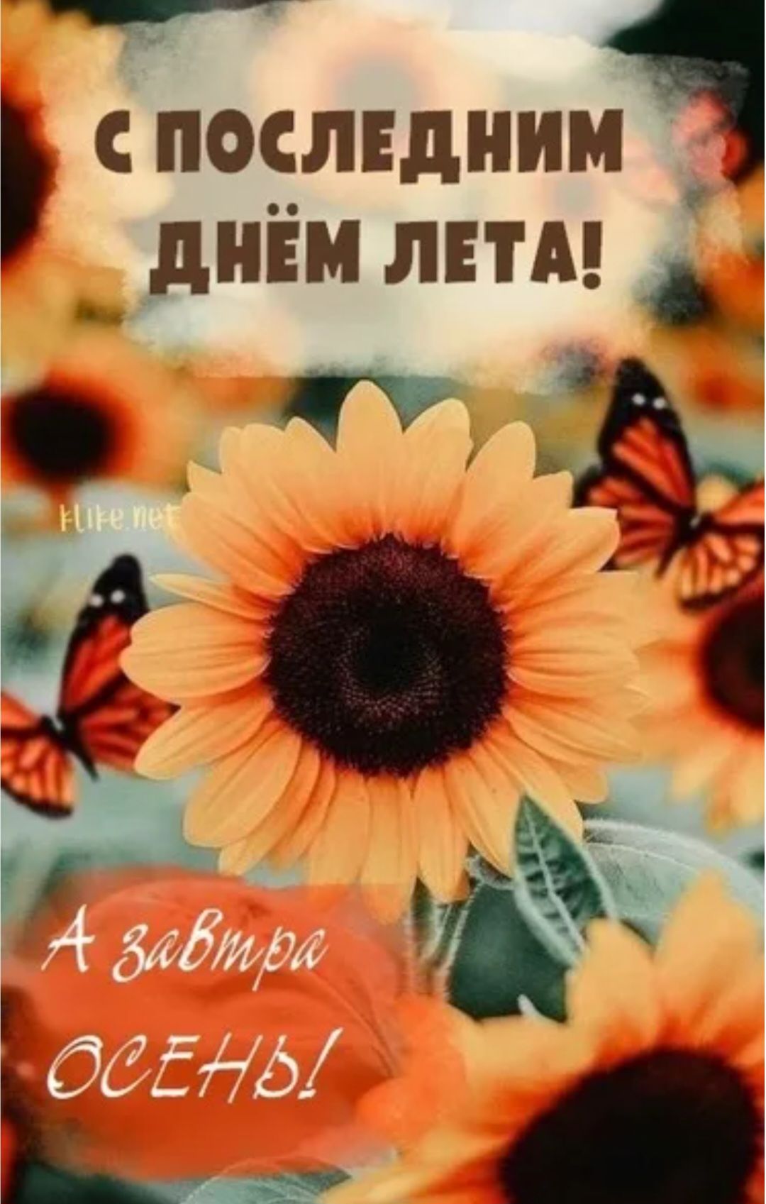 С ПОСЛЕДНИМ ДНЁМ ЛЕТА! А завтра ОСЕНЬ!