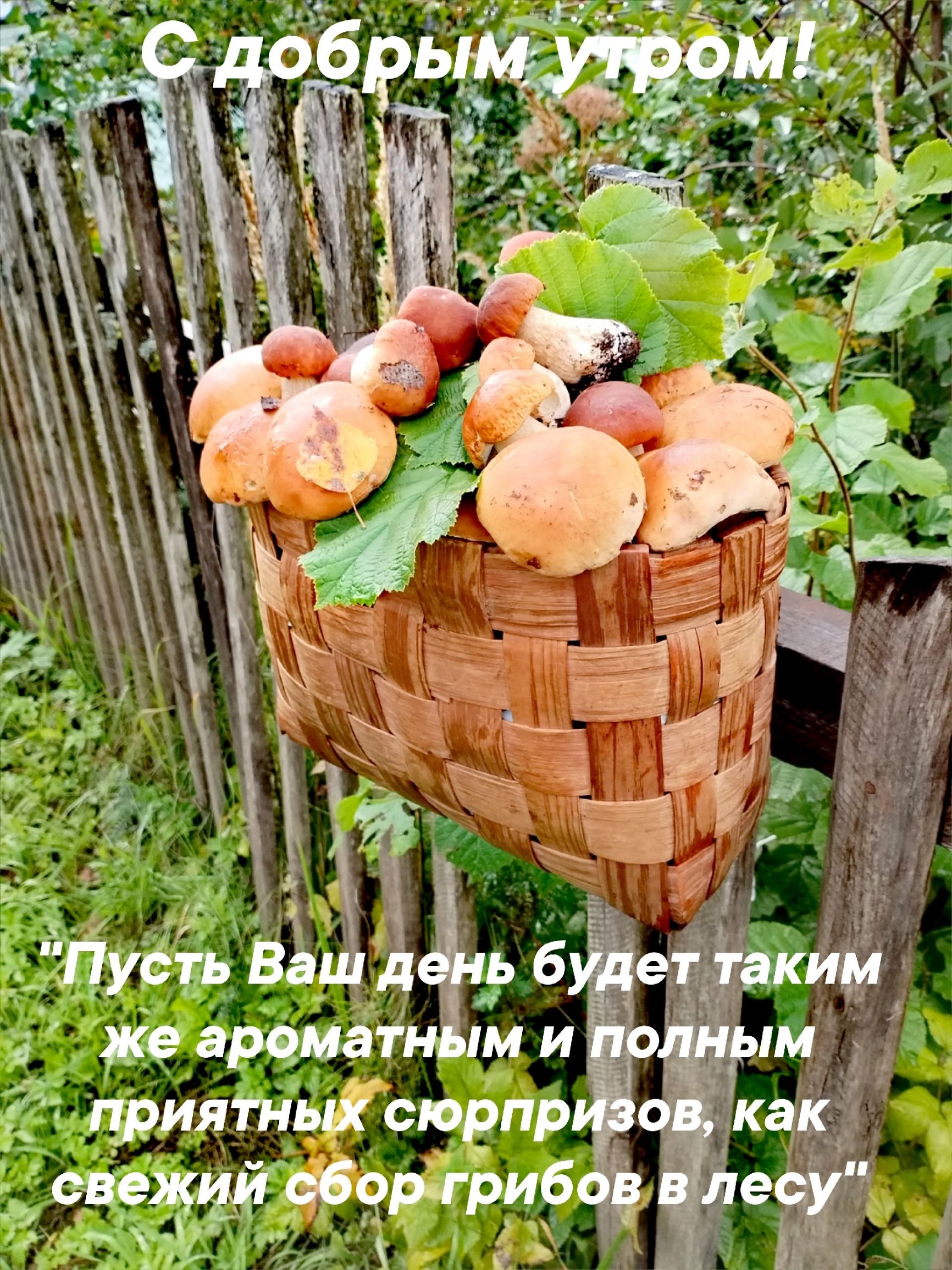 С добрым утром!

